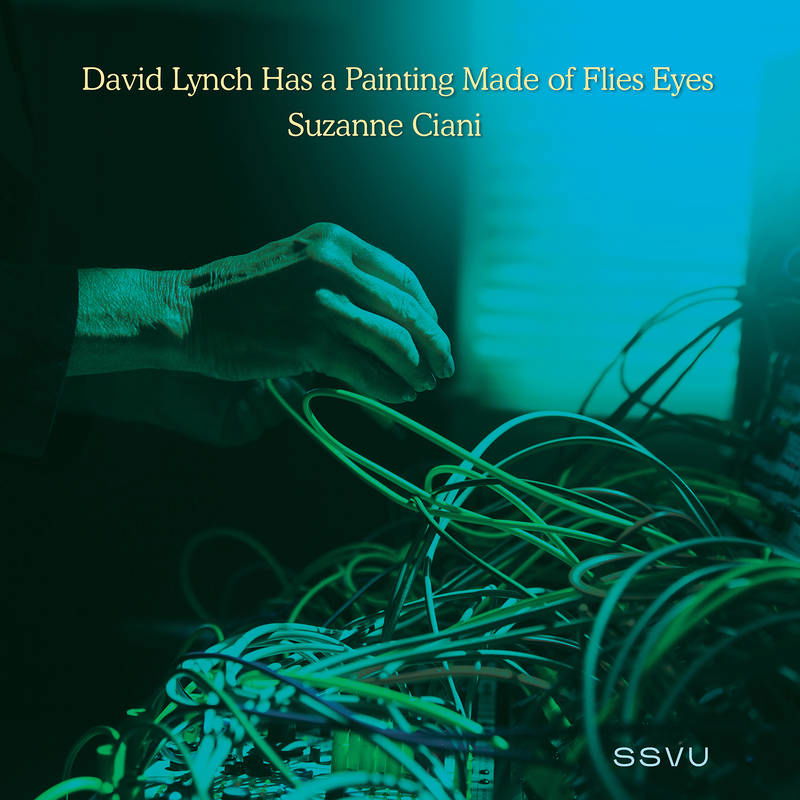 Ssvu - David Lynch Has a Painting Made of Flies Eyes / Suzanne Ciani (Single) Cover Arts and Media | Records on Vinyl