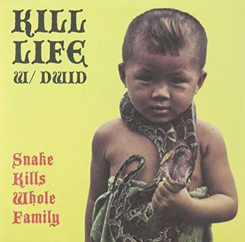 Kill Life - Snake Kills Whole Family (Single) Cover Arts and Media | Records on Vinyl