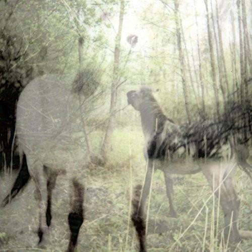 Bart De Paepe - Pagus Wasiae (LP) Cover Arts and Media | Records on Vinyl