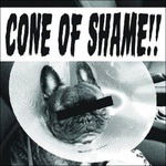 Faith No More - Cone of Shame (Single) Cover Arts and Media | Records on Vinyl