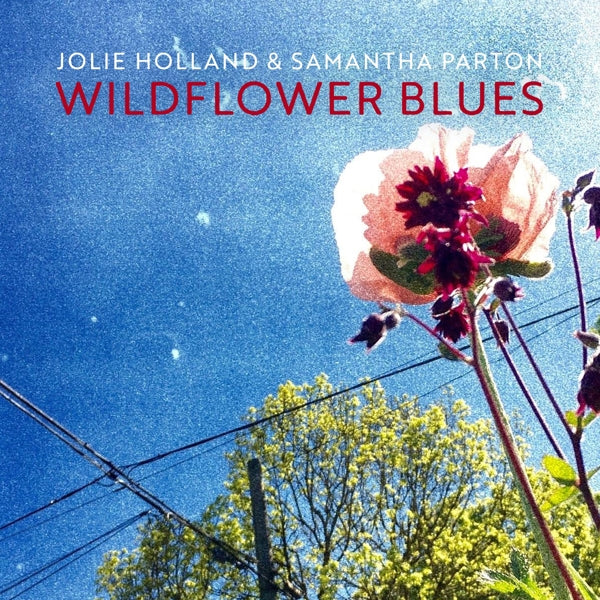  |   | Jolie -& Samantha Parton- Holland - Wildflower Blues (LP) | Records on Vinyl