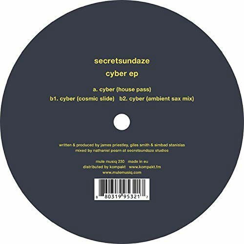 Secretsundaze - Cyber (Single) Cover Arts and Media | Records on Vinyl