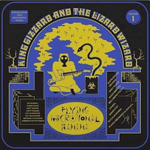  |   | King Gizzard & the Lizard Wizard - Flying Microtonal Banana (LP) | Records on Vinyl