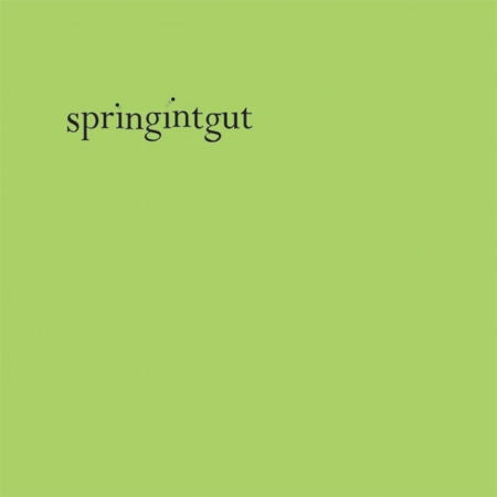 Springintgut - Springintgut (Single) Cover Arts and Media | Records on Vinyl