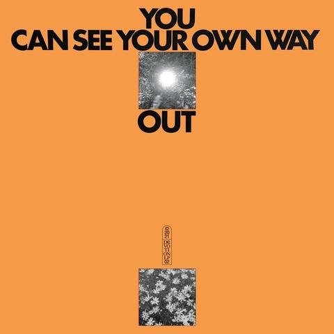  |   | Jefre & Ilyas Ahmed Cantu-Ledesma - You Can See Your Own Way Out (LP) | Records on Vinyl