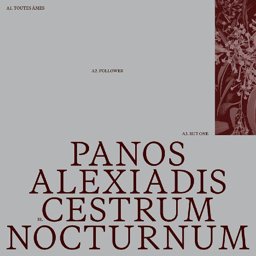 Panos Alexiadis - Cestrum Nocturnum (LP) Cover Arts and Media | Records on Vinyl