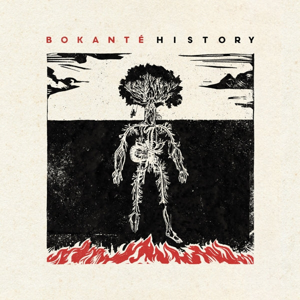 Bokante - History (LP) Cover Arts and Media | Records on Vinyl