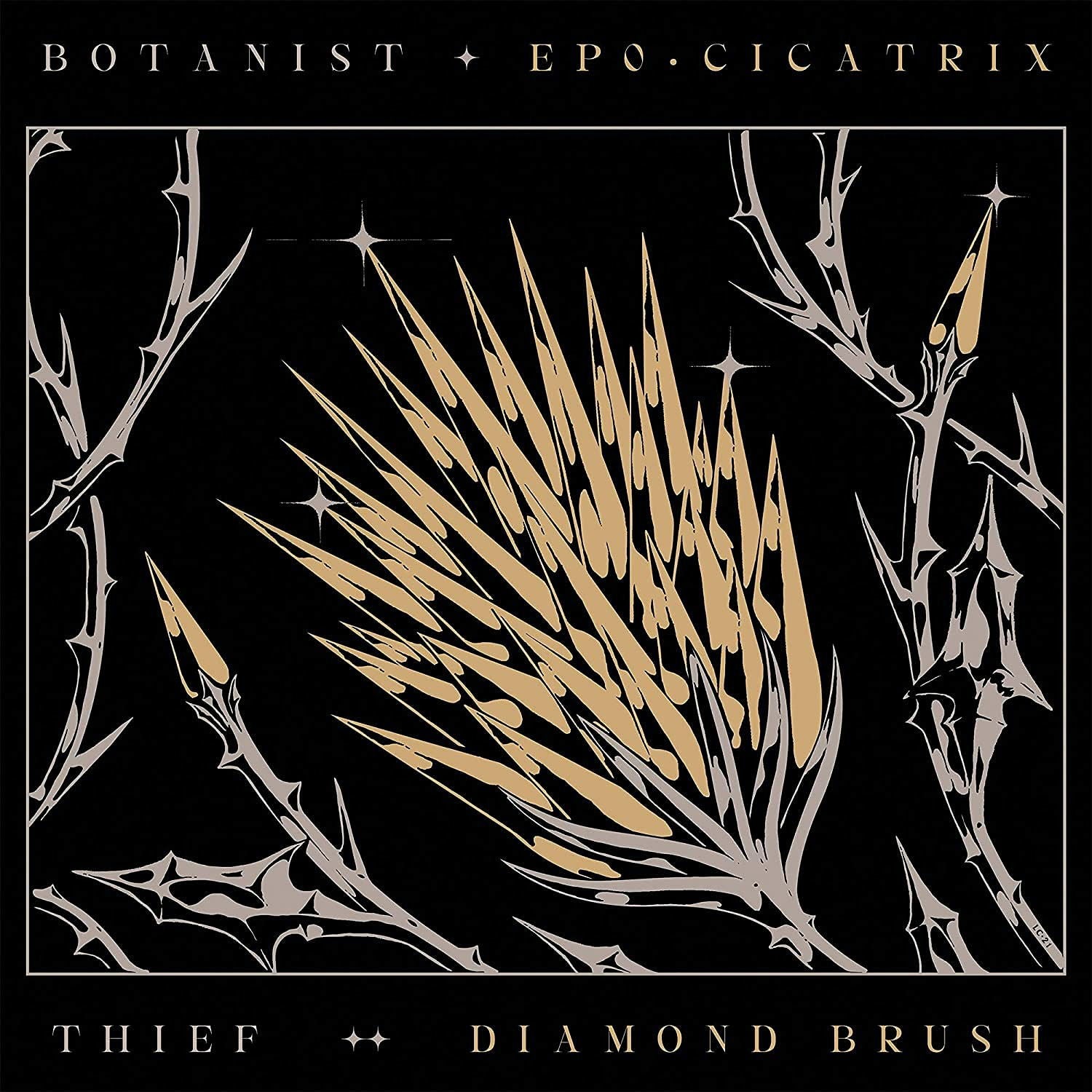 Botanist / Thief - Cicatrix / Diamond Brush (LP) Cover Arts and Media | Records on Vinyl