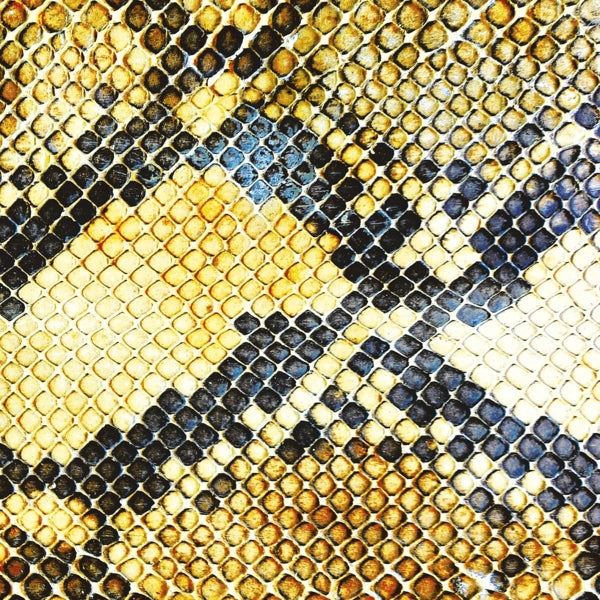  |   | Amazing Snakeheads - Amphetamine Ballads (LP) | Records on Vinyl