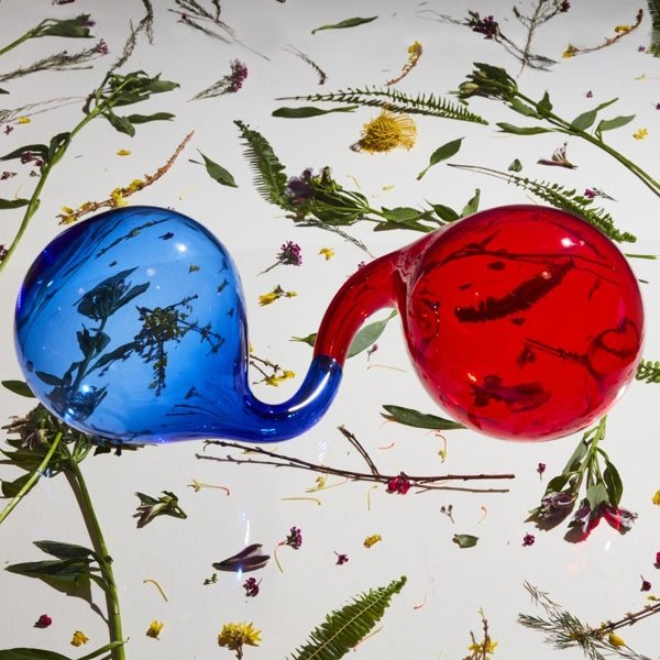  |   | Dirty Projectors - Lamp Lit Prose (LP) | Records on Vinyl