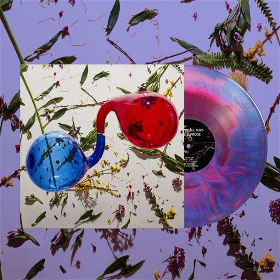 Dirty Projectors - Lamp Lit Prose (LP) Cover Arts and Media | Records on Vinyl
