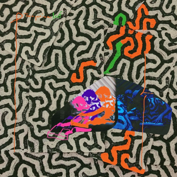  |   | Animal Collective - Tangerine Reef (2 LPs) | Records on Vinyl