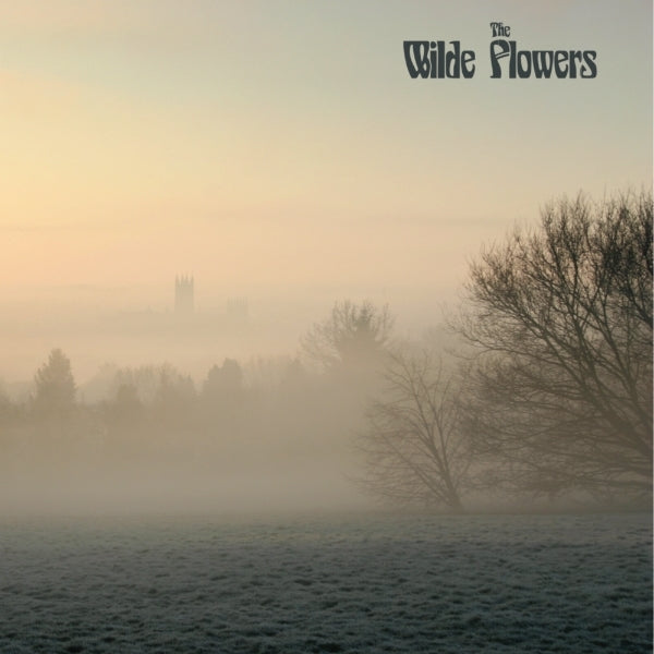  |   | Wilde Flowers - Wilde Flowers (LP) | Records on Vinyl