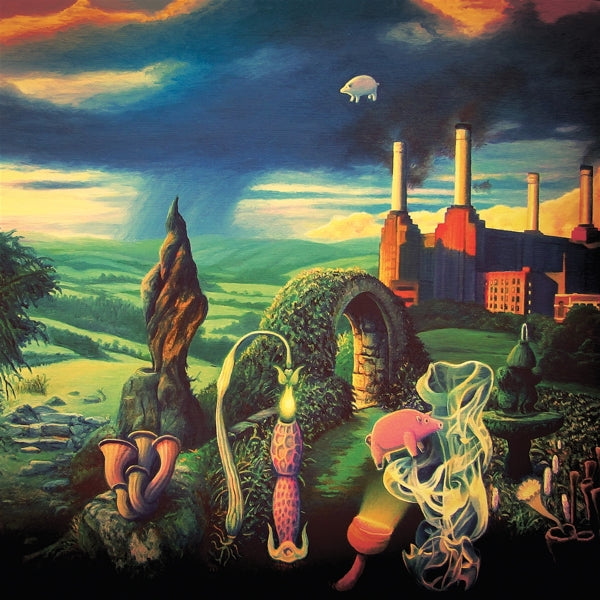  |   | Pink Floyd - Animals Reimagined: Tribute To Pink Floyd (LP) | Records on Vinyl