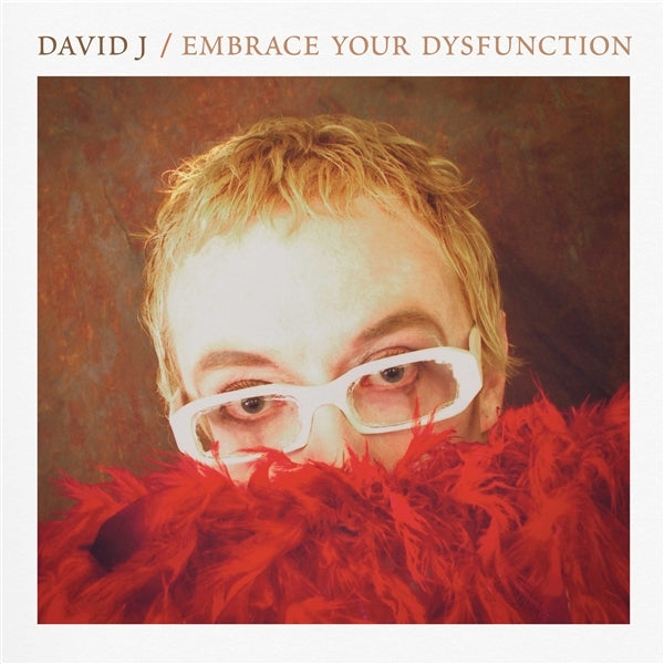  |   | David J - Embrace Your Dysfunction (LP) | Records on Vinyl