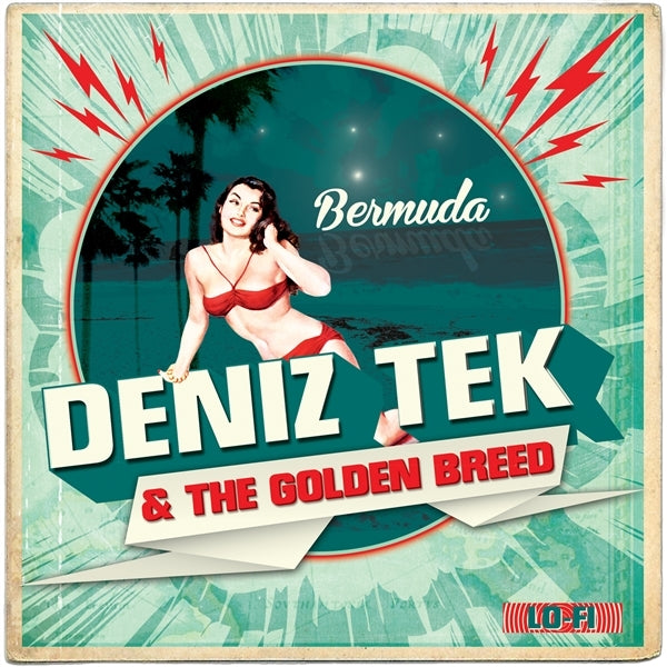  |   | Deniz & the Golden Breed Tek - Bermuda (Single) | Records on Vinyl