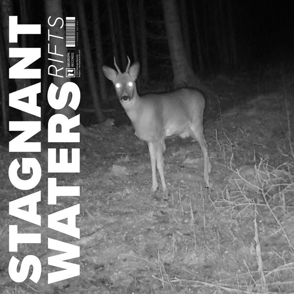 Stagnant Waters - Rifts (2 LPs) Cover Arts and Media | Records on Vinyl