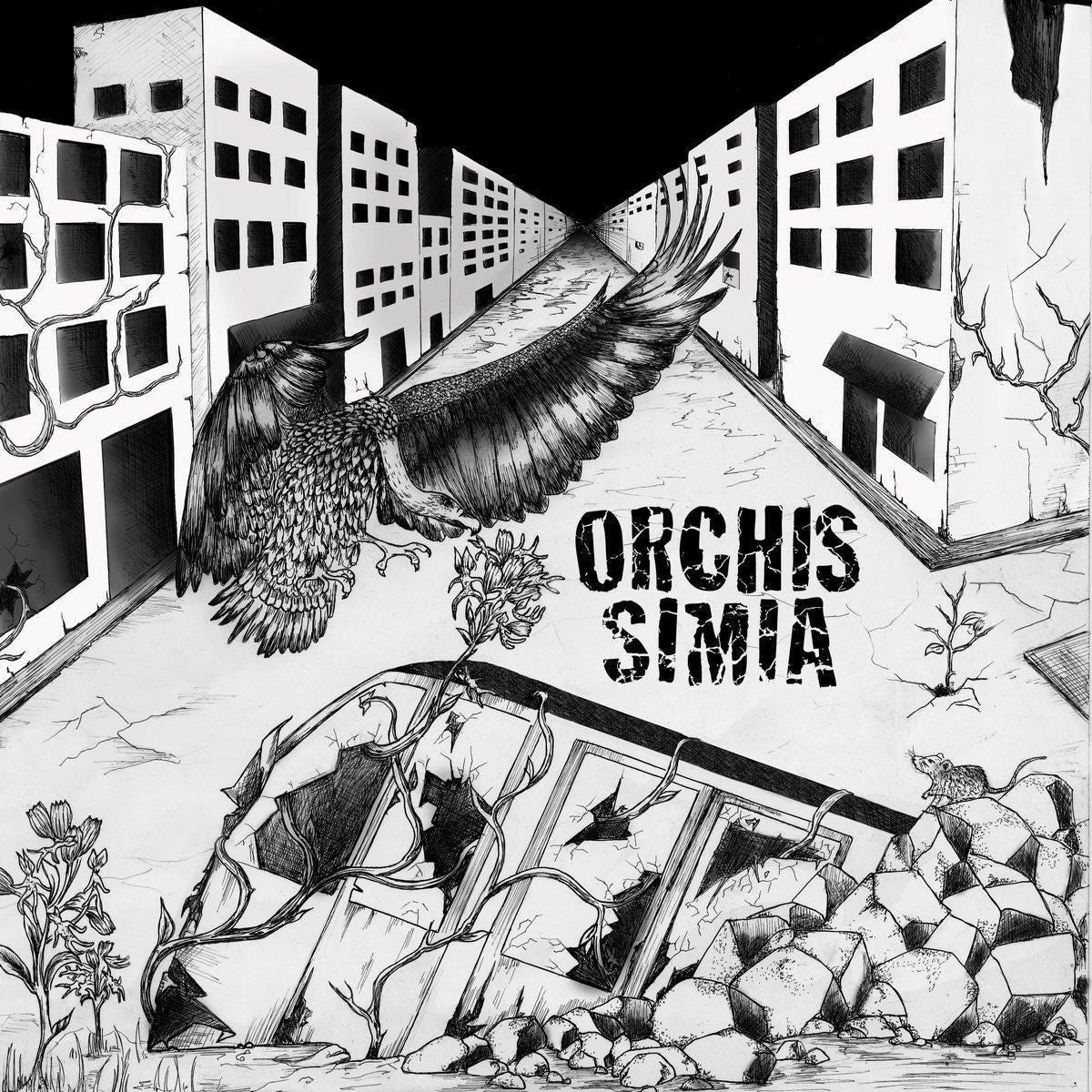 Orchis Simia - Orchis Simia (2 LPs) Cover Arts and Media | Records on Vinyl