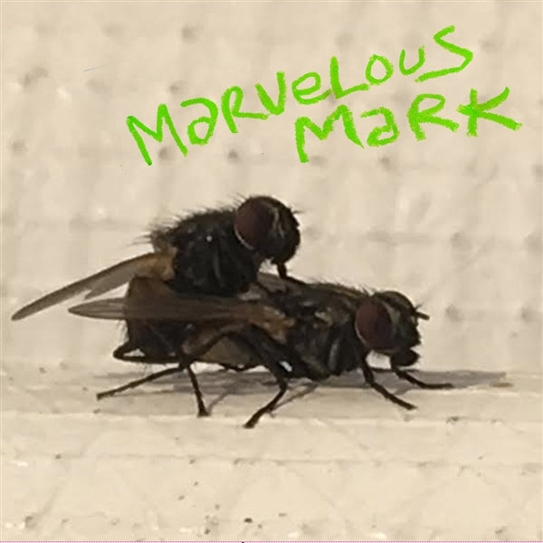  |   | Marvelous Mark - Buzzin' (LP) | Records on Vinyl