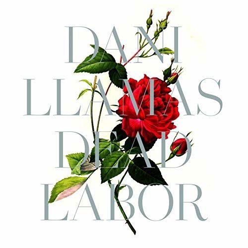 Dani Llamas - Dead Labor (LP) Cover Arts and Media | Records on Vinyl