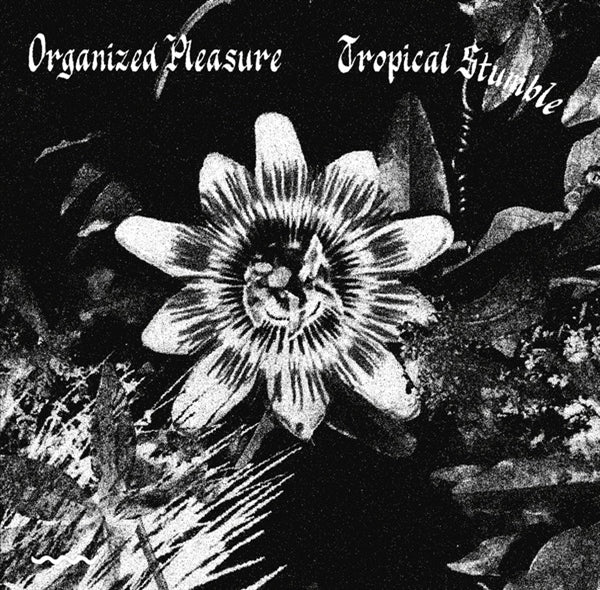  |   | Organised Pleasure/Satin Wall - Tropical Stumble/Dans Les Profondeurs (Single) | Records on Vinyl