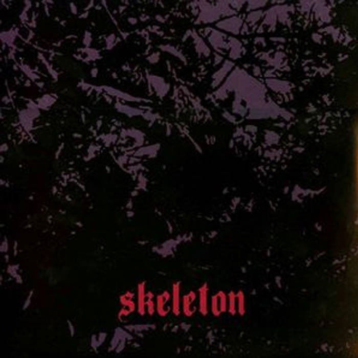 Skeleton - No Fire In a Desolate Land (LP) Cover Arts and Media | Records on Vinyl