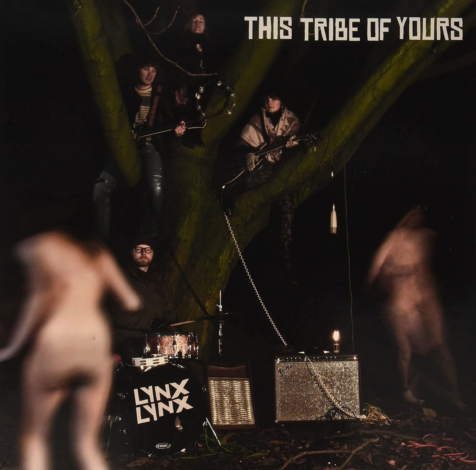 Lynx Lynx - This Tribe of Yours =Coloured= (LP) Cover Arts and Media | Records on Vinyl