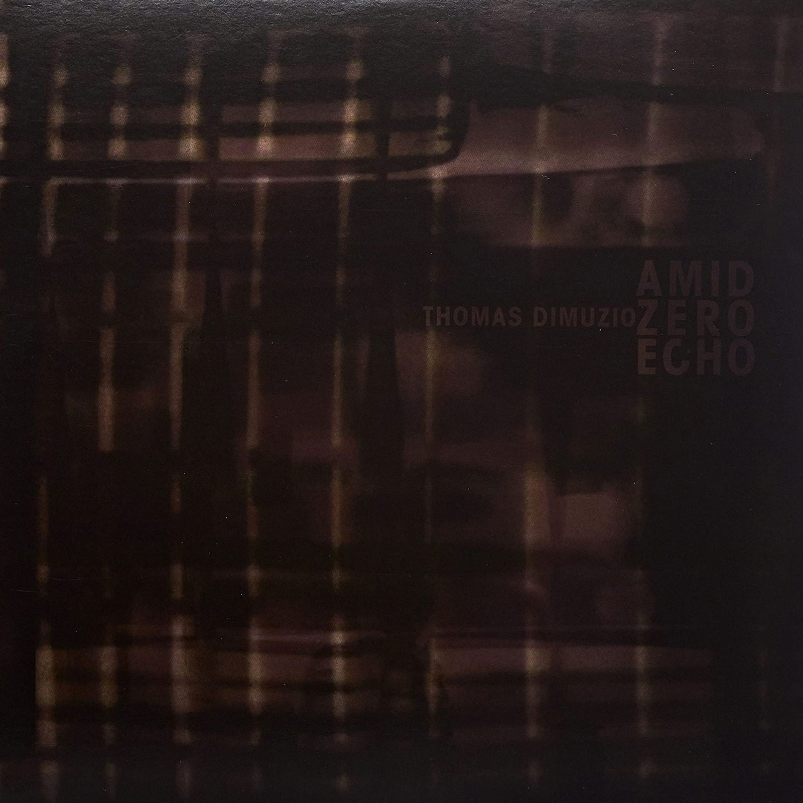 Thomas Dimuzio - Amid Zero Echo -10"- (2 Singles) Cover Arts and Media | Records on Vinyl