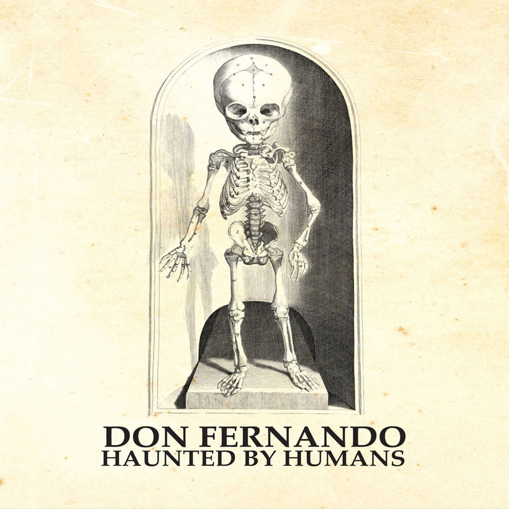 Don Fernando - Haunted By Humans (LP) Cover Arts and Media | Records on Vinyl