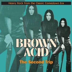 V/A - Brown Acid: the Second Trip (LP) Cover Arts and Media | Records on Vinyl