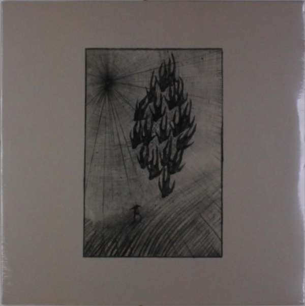 Aine O'Dwyer - Locust (LP) Cover Arts and Media | Records on Vinyl