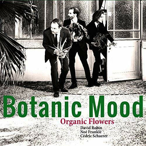 Organic Flowers - Botanic Mood (LP) Cover Arts and Media | Records on Vinyl