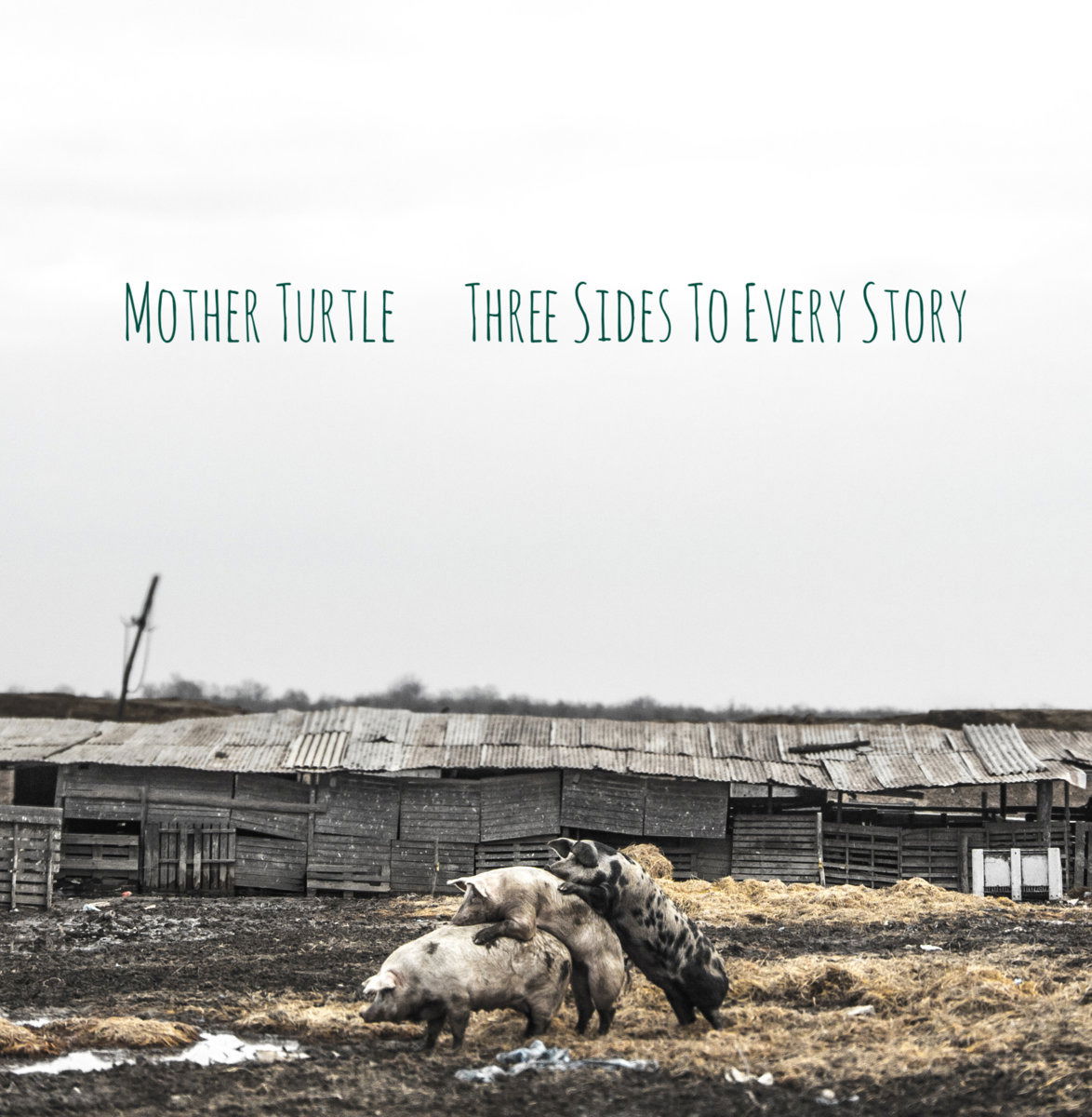 Mother Turtle - Three Sides To Every Story (LP) Cover Arts and Media | Records on Vinyl