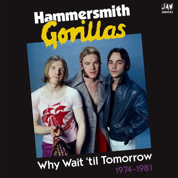 Hammersmith Gorillas - Why Wait Until Tomorrow 1974-1981 (2 LPs) Cover Arts and Media | Records on Vinyl