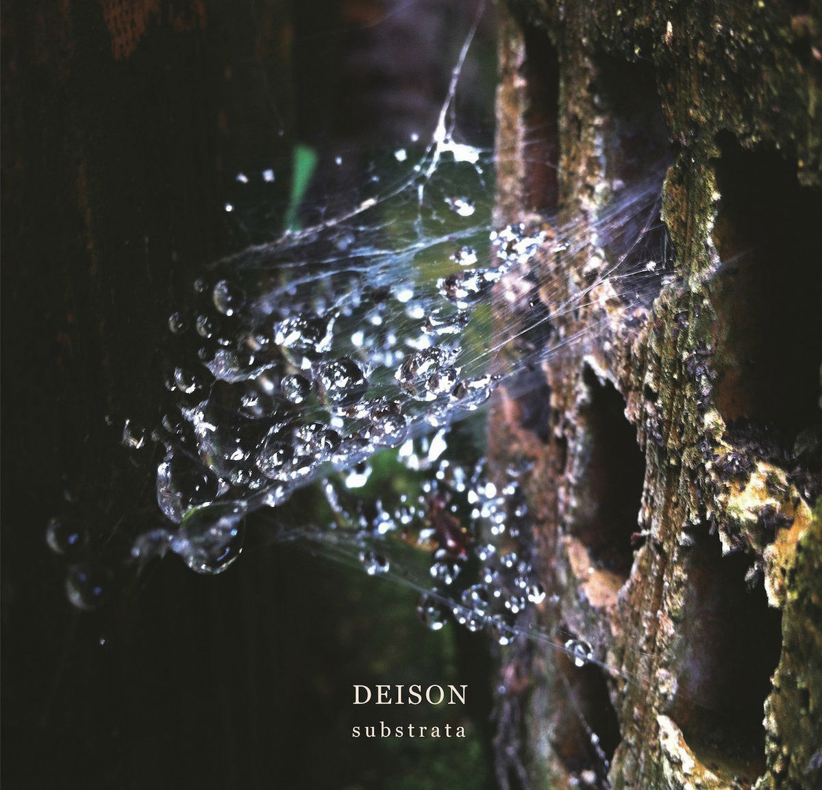 Deison - Substrata (Single) Cover Arts and Media | Records on Vinyl