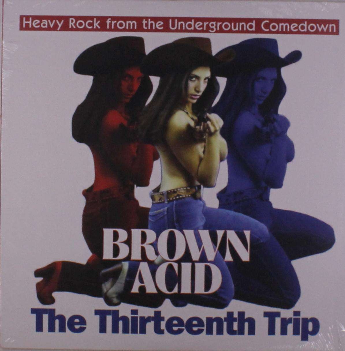 V/A - Brown Acid: the Thirteenth Trip (LP) Cover Arts and Media | Records on Vinyl