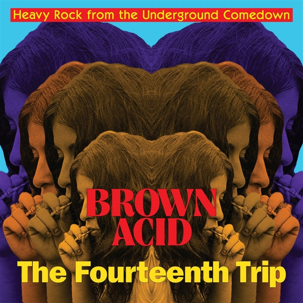  |   | V/A - Brown Acid: the 14th Trip (LP) | Records on Vinyl