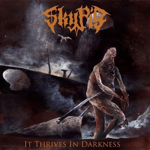 Sky Pig - It Thrives In Darkness (LP) Cover Arts and Media | Records on Vinyl