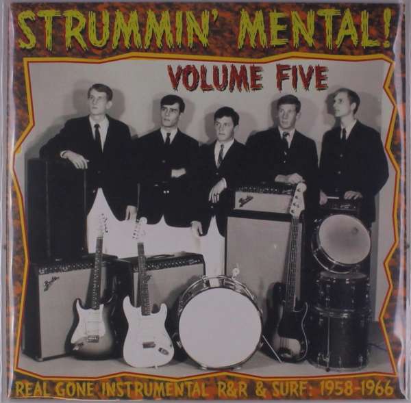 V/A - Strummin' Mental 5 (LP) Cover Arts and Media | Records on Vinyl