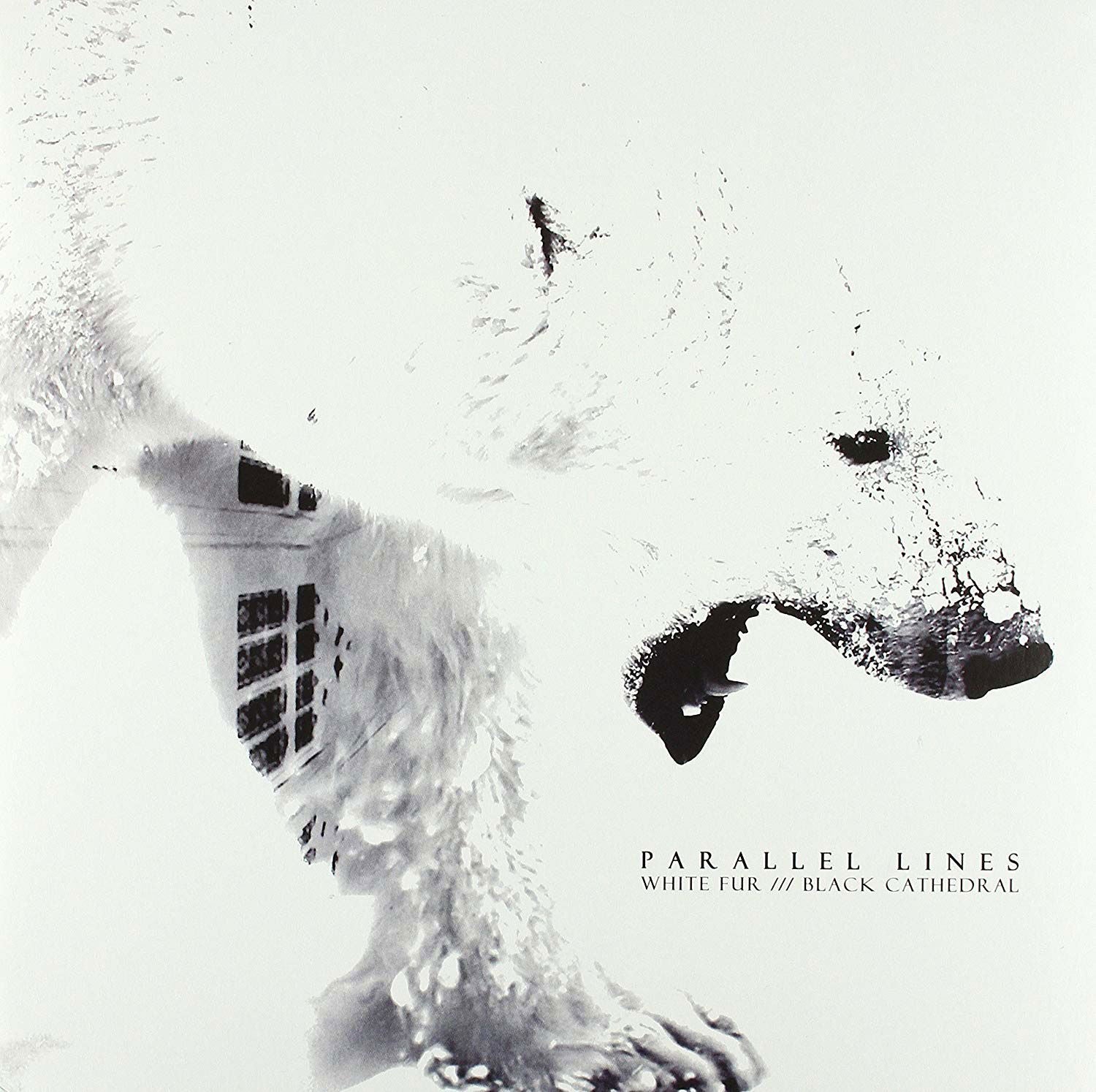 Parallel Lines - White Fur (LP) Cover Arts and Media | Records on Vinyl