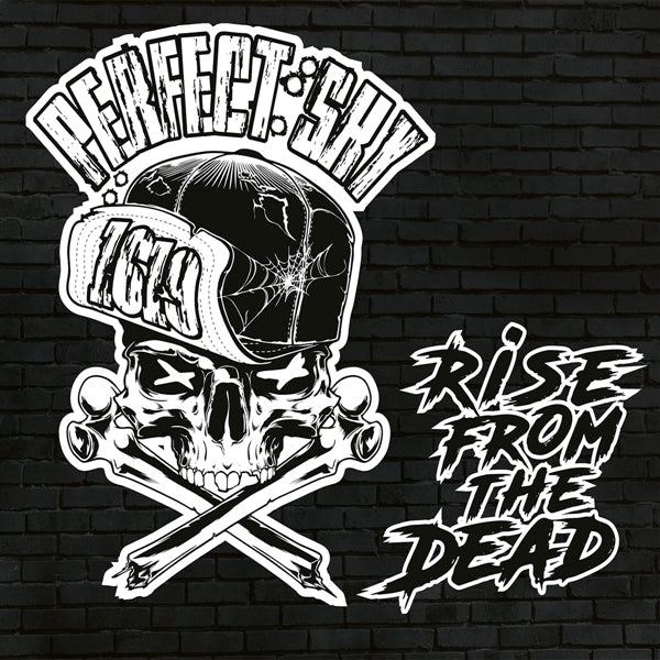  |   | Perfect Sky - Rise From the Dead (LP) | Records on Vinyl