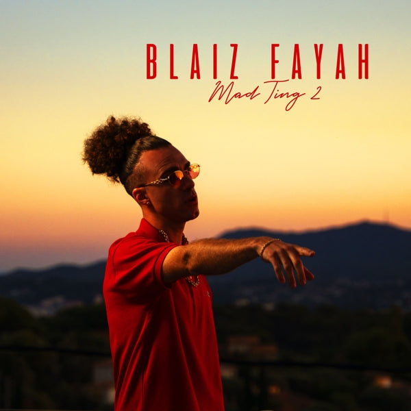 Blaiz Fayah - Mad Ting 2 (LP) Cover Arts and Media | Records on Vinyl