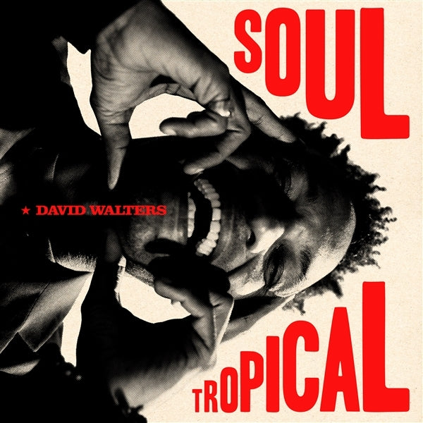  |   | David Walters - Soul Tropical (Single) | Records on Vinyl