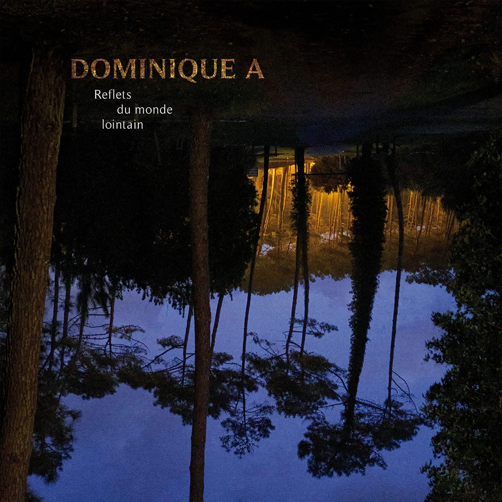 Dominique A - Reflets Du Monde Lointain (LP) Cover Arts and Media | Records on Vinyl