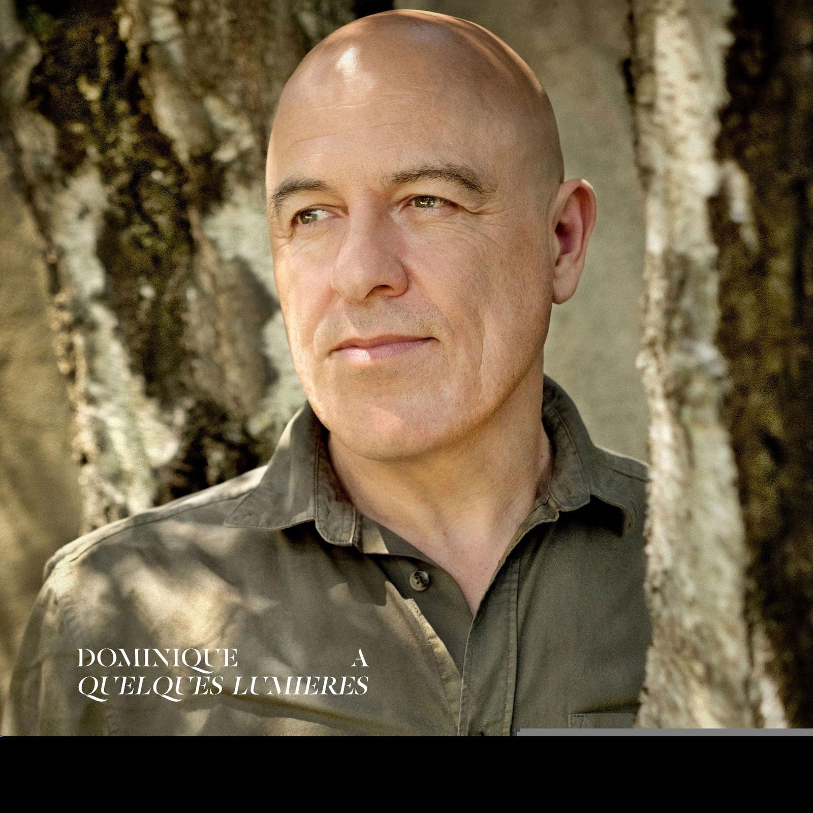 Dominique A - Quelques Lumieres (3 LPs) Cover Arts and Media | Records on Vinyl