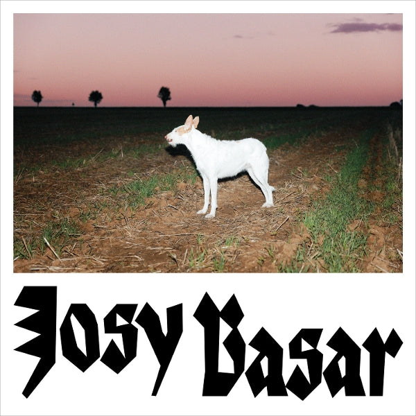  |  Vinyl LP | Josy Basar - Le Chien (LP) | Records on Vinyl