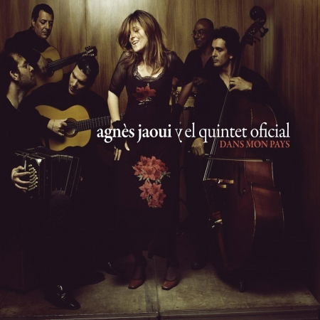 Agnes Jaoui - Dans Mon Pays (LP) Cover Arts and Media | Records on Vinyl