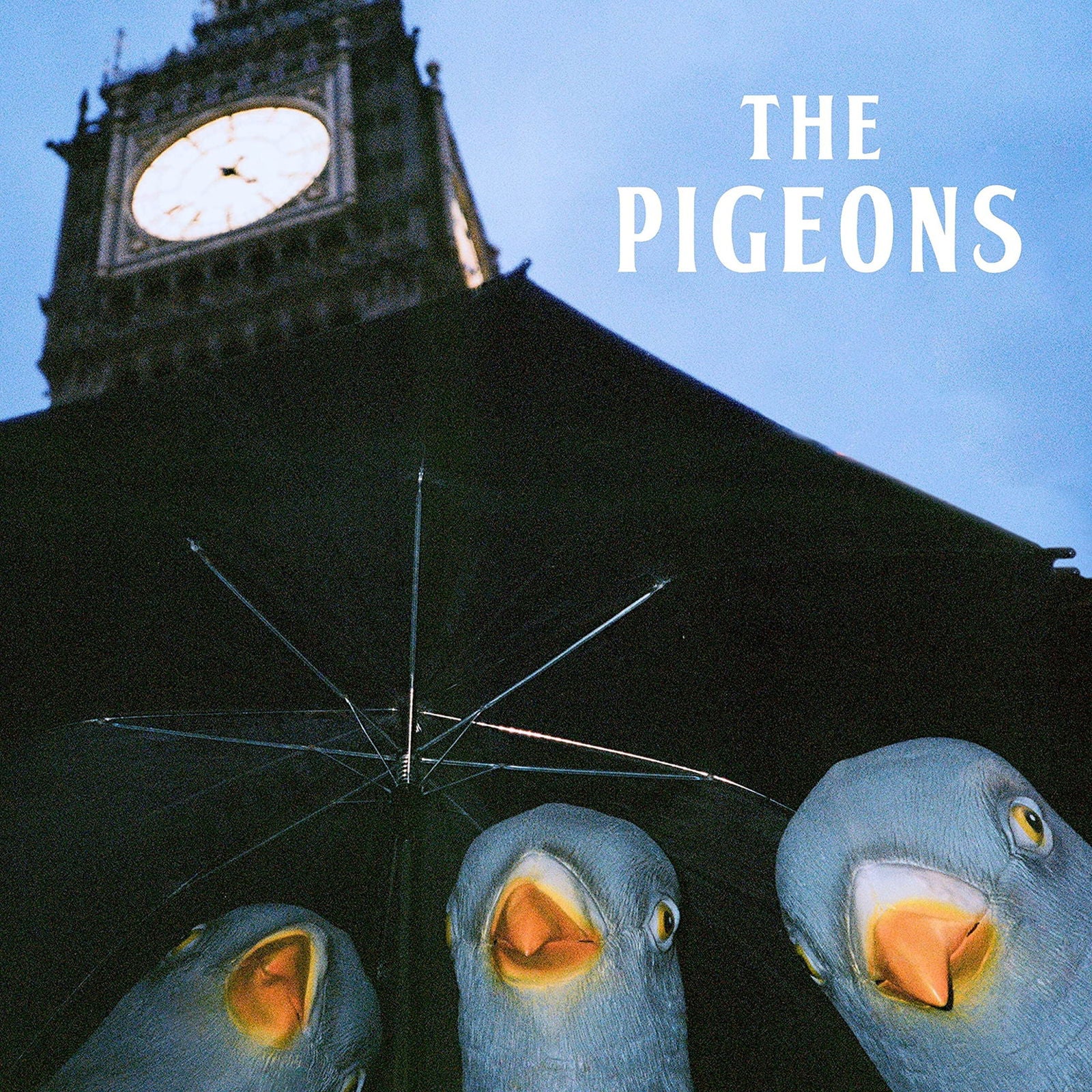 Pigeons - Bird Brain Gang (LP) Cover Arts and Media | Records on Vinyl