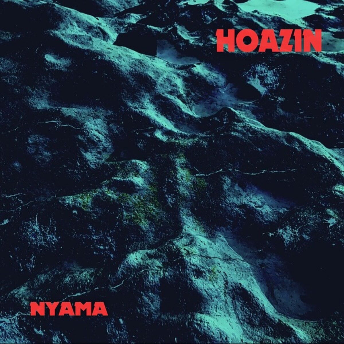Hoazin - Nyama (LP) Cover Arts and Media | Records on Vinyl