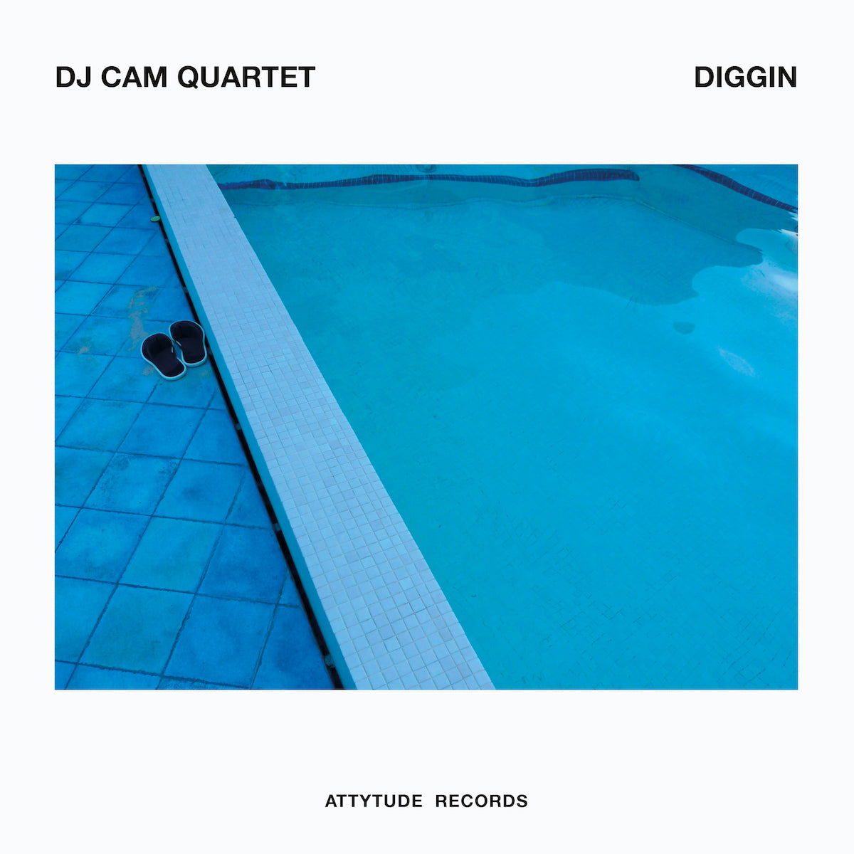 DJ Cam Quartet - Diggin (LP) Cover Arts and Media | Records on Vinyl